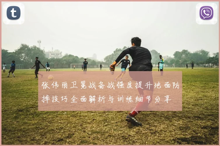 张伟丽卫冕战备战强度提升地面防摔技巧全面解析与训练细节分享