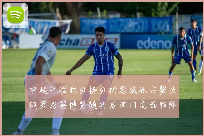 中超半程积分榜分析蓉城独占鳌头铜梁龙英博紧随其后津门虎面临降级危机